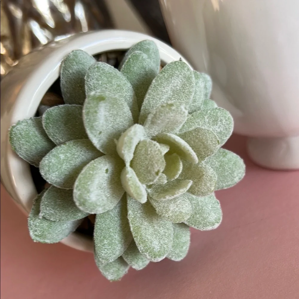 Feminine Face Planters with faux Succulents in pink and green set of two
